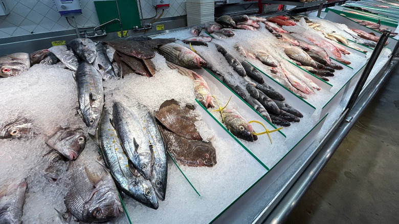 fresh seafood on display
