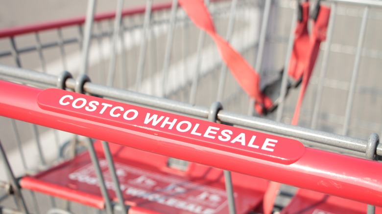 red handle of costco shopping cart