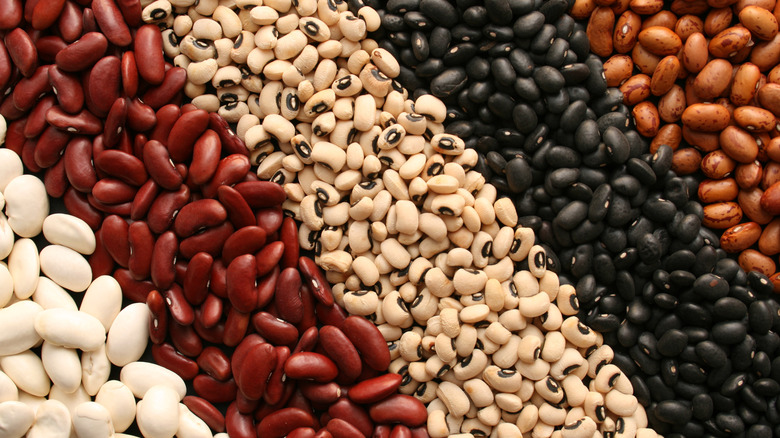 assortment of dried beans