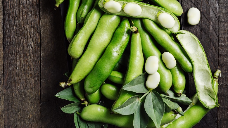 fava bean pods and beans on a tray