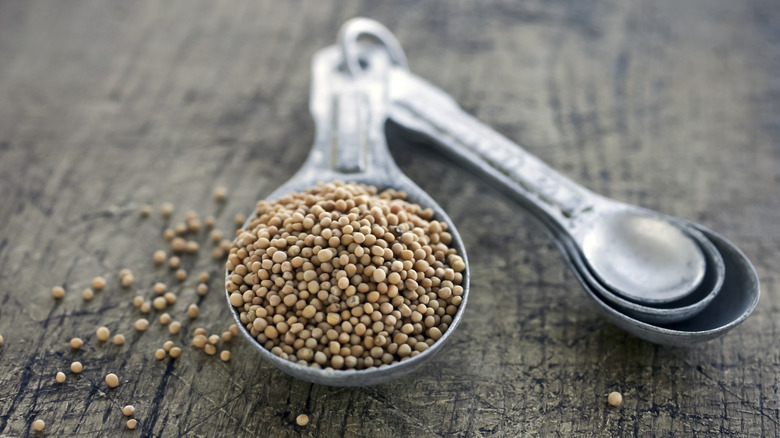 mustard seeds in a measuring spoon