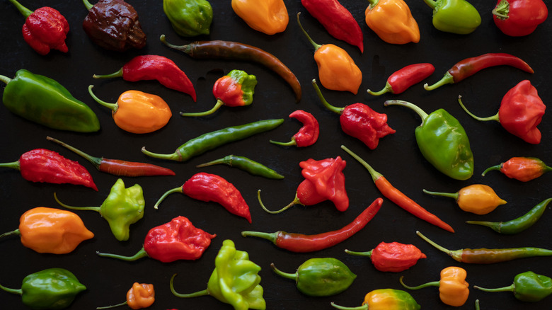 selection of hot peppers