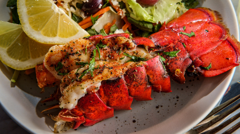 grilled lobster tail
