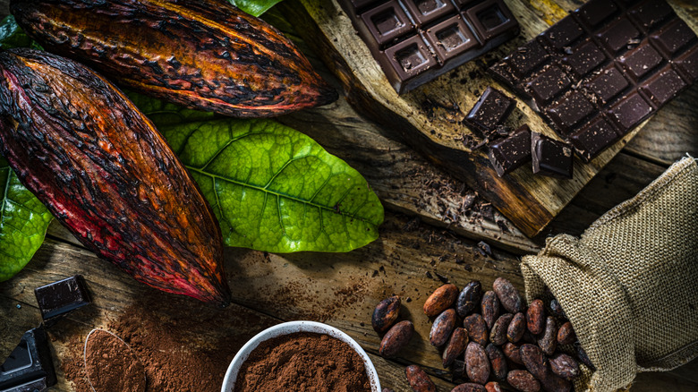 cacao pods, ground cacao and chocolate