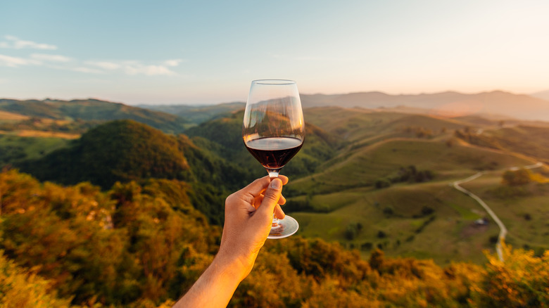 Holding glass of wine outdoors