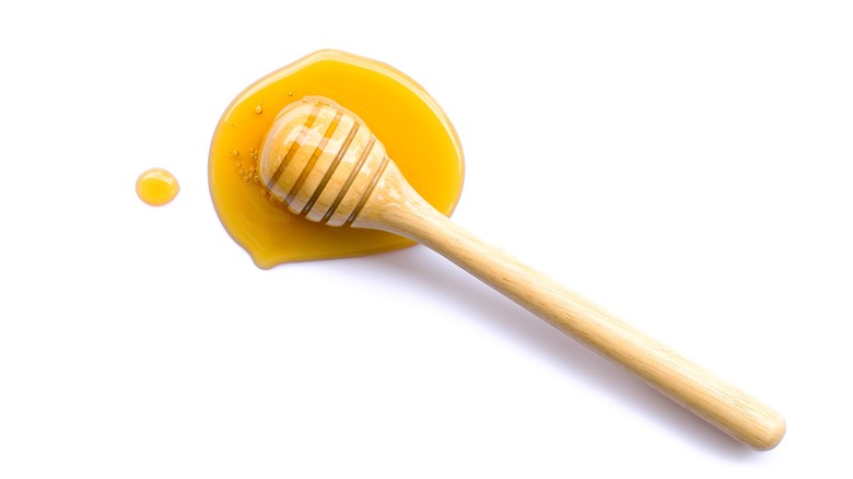 Honey dipper in puddle of honey