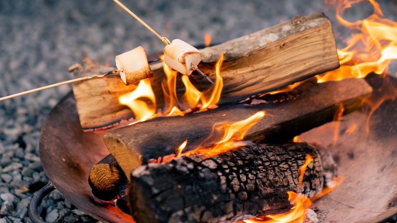 Roasting marshmallow over logs