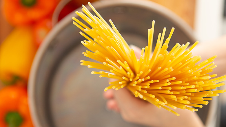 Close up of pasta over a pot