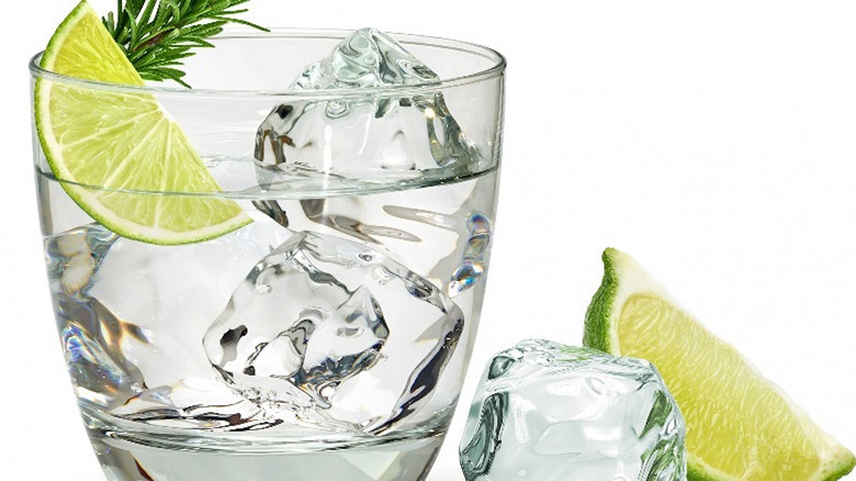 Gin and tonic with large ice cubes