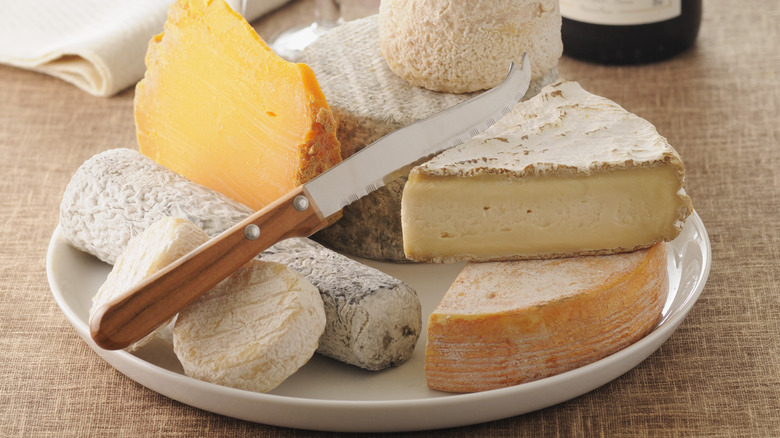 Variety of cheeses on plate
