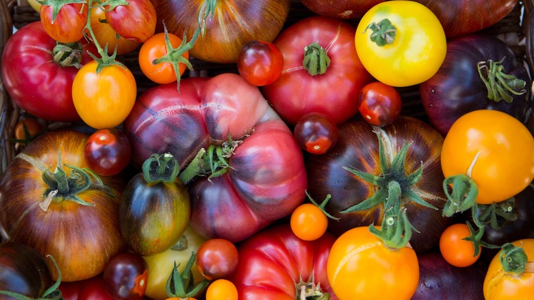 Variety of Heirloom tomatoes