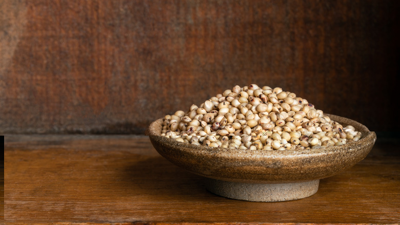 sorghum seeds in a bowl
