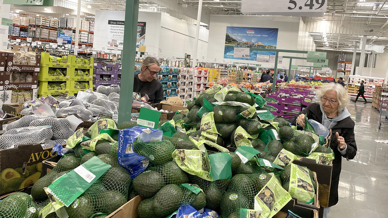 Shopping for avocados in Costco