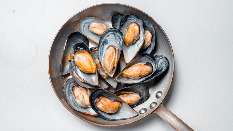 Overhead view of cooked mussels