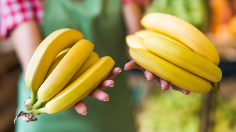 Person holding two bunches of bananas