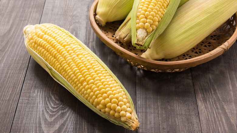 ears of corn on the cob
