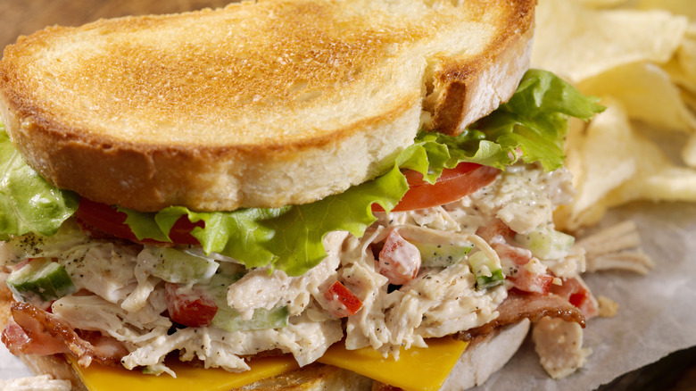 toasted chicken salad sandwich